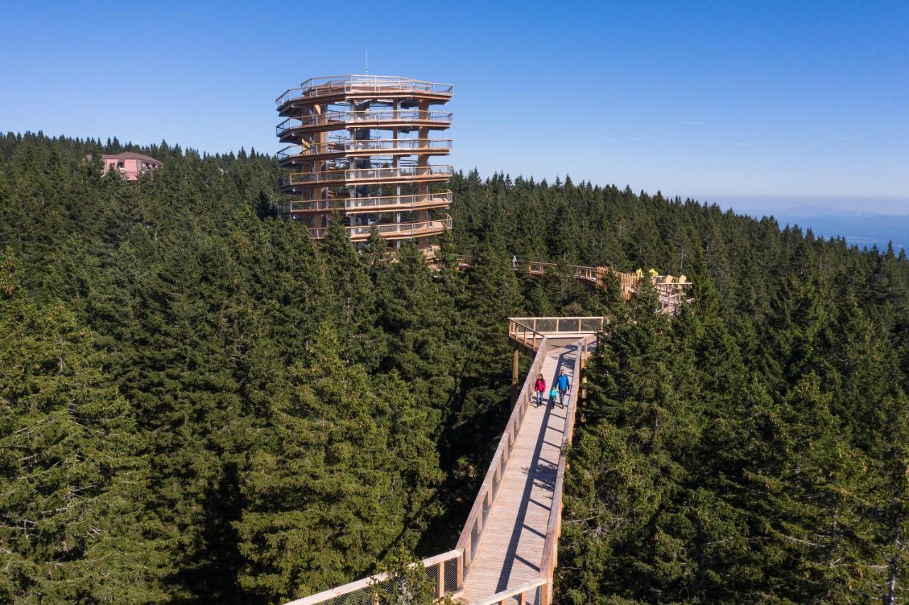 Hotel Planja Zreče Exteriér fotografie